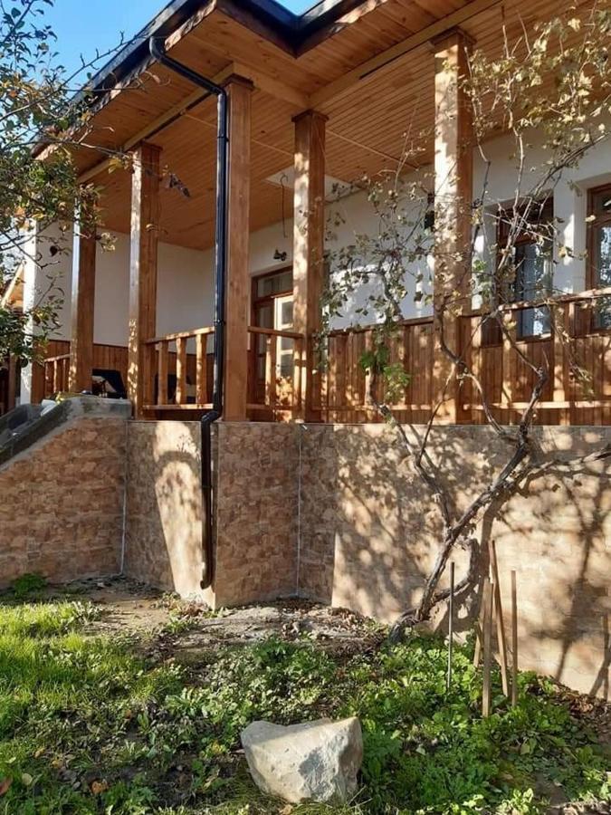 Pensiunea Dodo Patarlagele Exterior foto